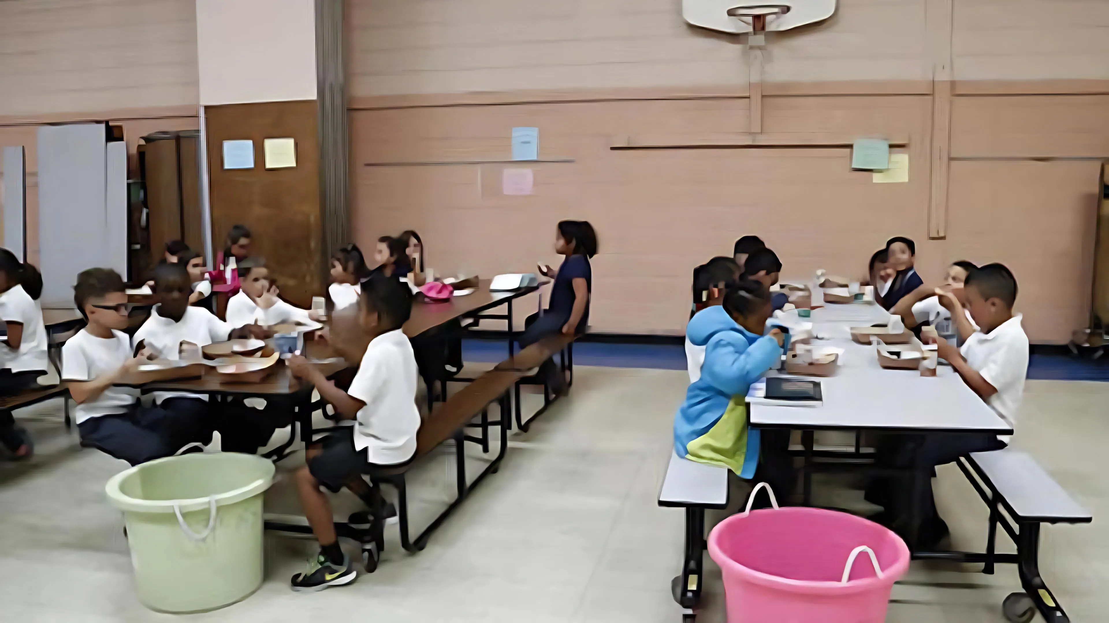 Hygienic Cafeteria